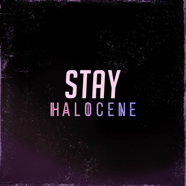 Stay