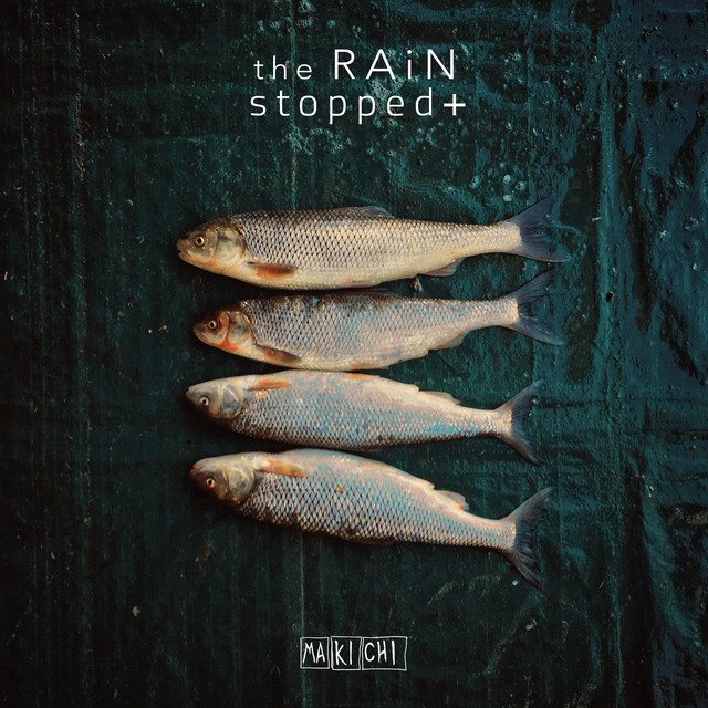 The Rain Stopped cover art
