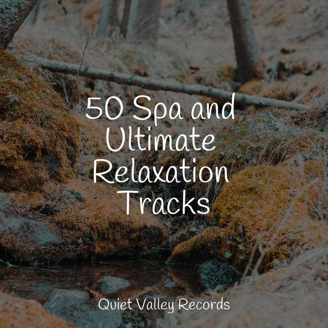 50 Spa and Ultimate Relaxation Tracks - Album by Binaural Beats Brain ...