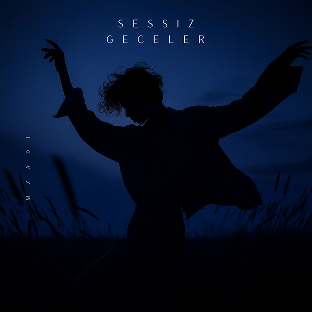 Sessiz Geceler
