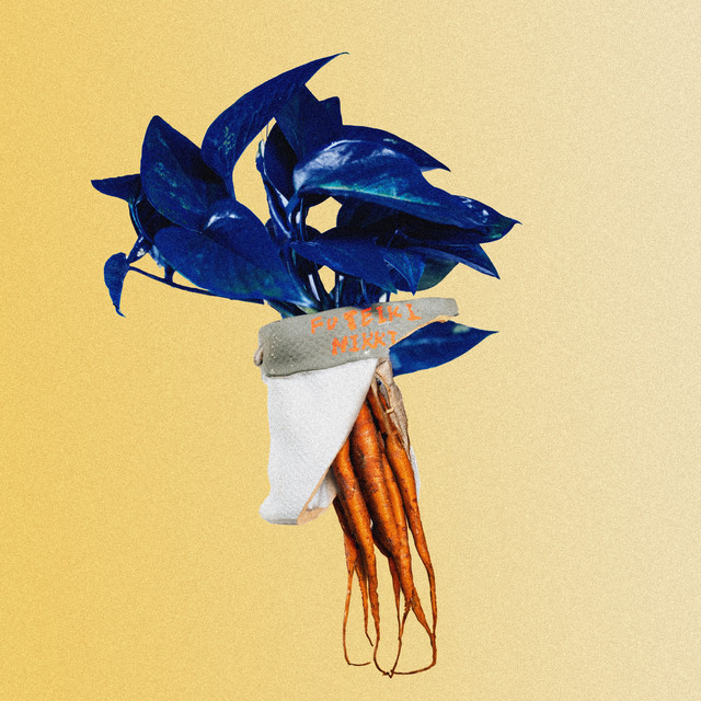 不定期日記 cover art