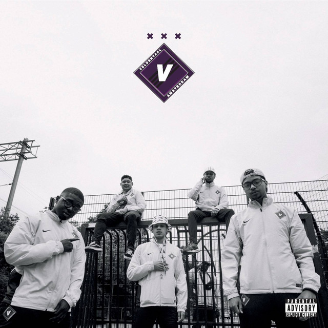 Cover of Veldentaal