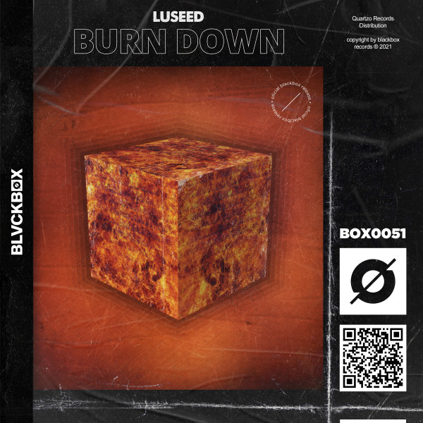Burn Down cover art
