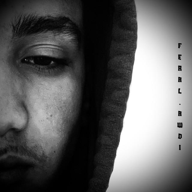 AWDI cover art