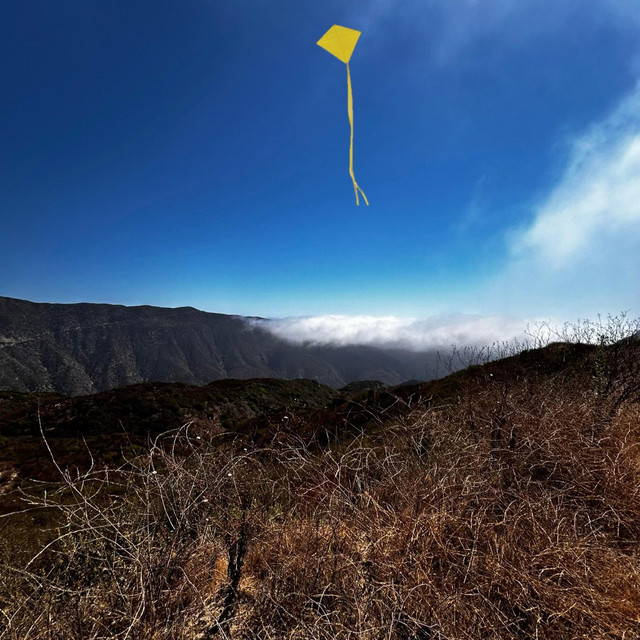 YELLOW KITE cover art
