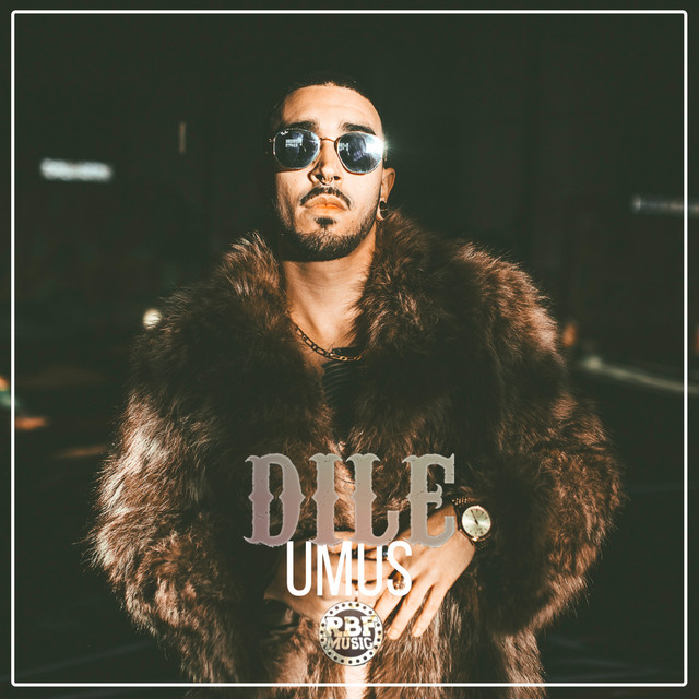 Dile cover art