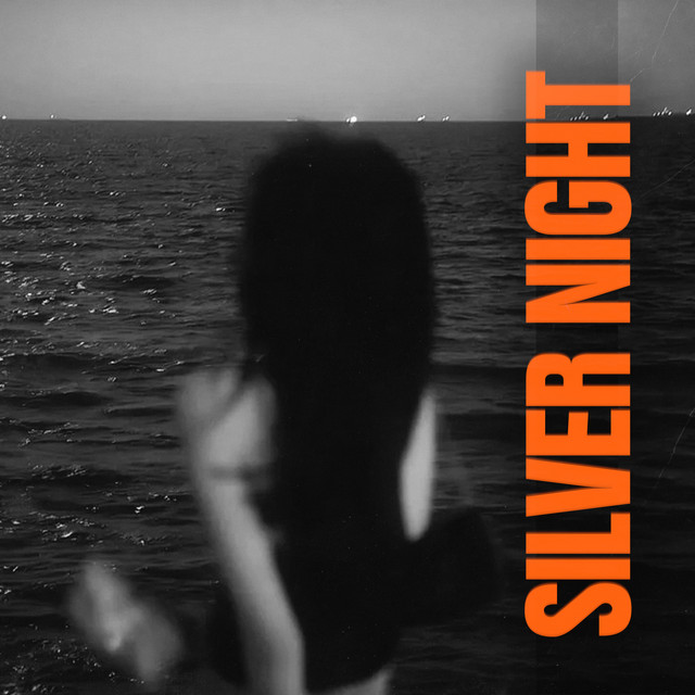 Silver Night