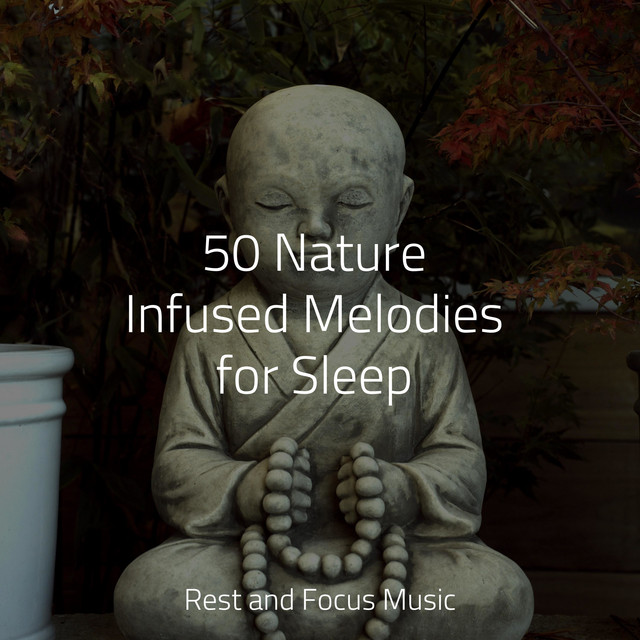 50 Nature Infused Melodies for Sleep - Album by Happy Baby Lullaby ...