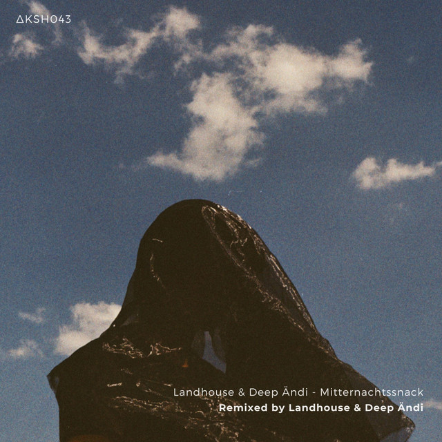 Wega (Landhouse Remix) cover