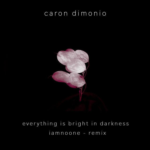 Everything is Bright in Darkness - Iamnoone Remix