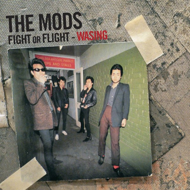 FIGHT OR FLIGHT-WASING cover art
