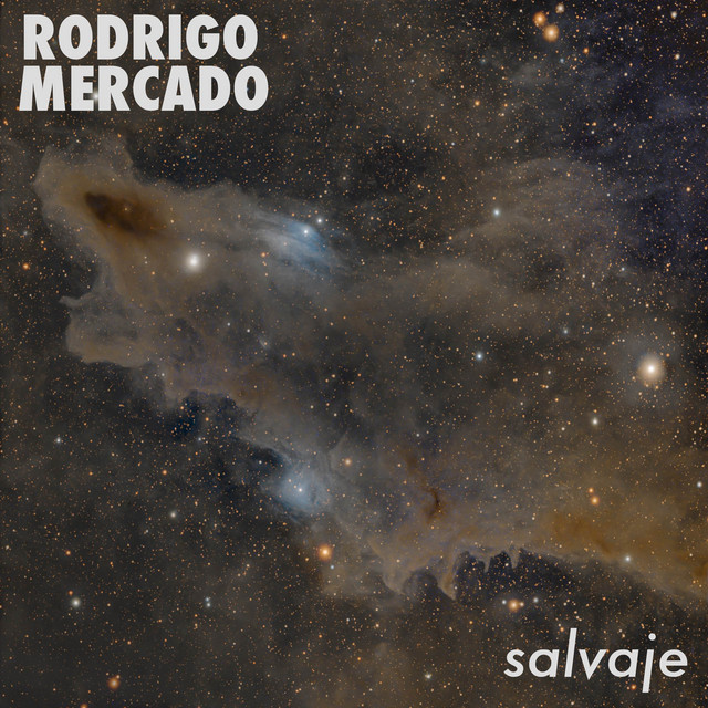 SALVAJE cover