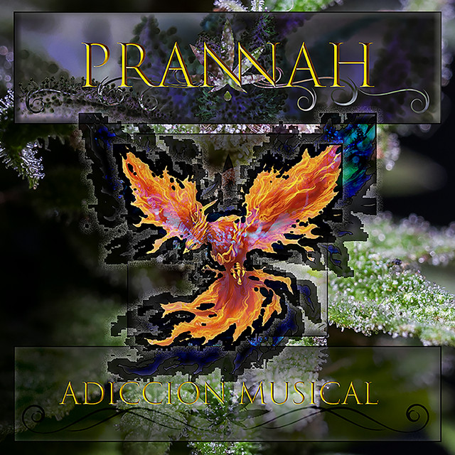 Adicción Musical cover