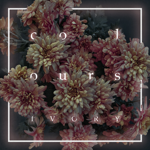 Ivory cover art