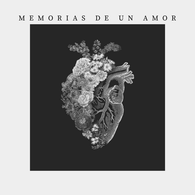 Divergencia Sonora
