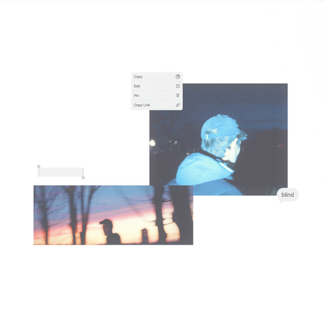 blind cover art