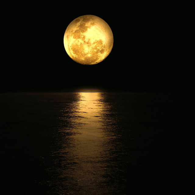 Cover art for Relax MusicBox — Relaxing Music and Night Nature Sounds