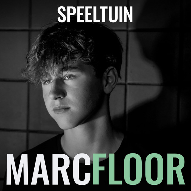 Speeltuin cover art