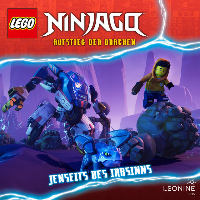 Cover: Jenseits des Irrsinns
