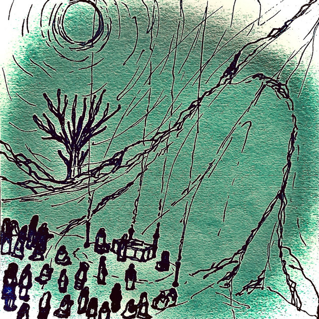 Coyotes cover art