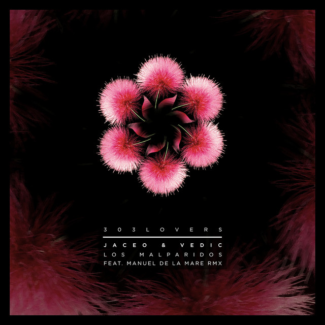 Los Malparidos cover art