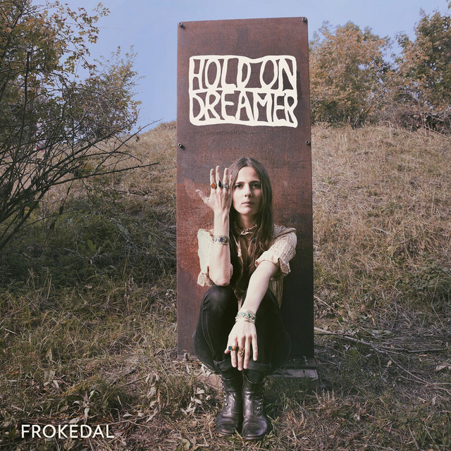 Hold On Dreamer cover art