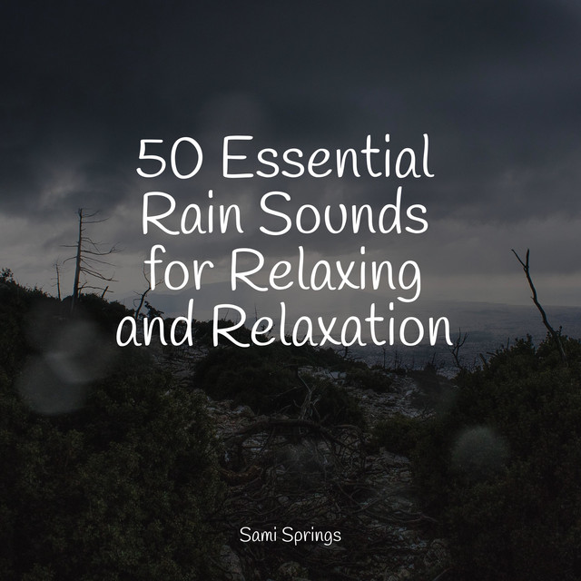 50 Essential Rain Sounds for Relaxing and Relaxation - Album by White ...