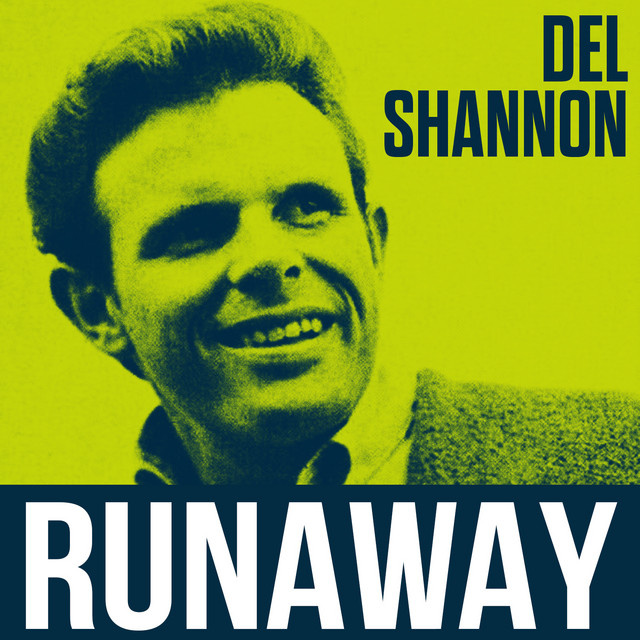 So long Baby song and lyrics by Del Shannon with Orchestra Spotify