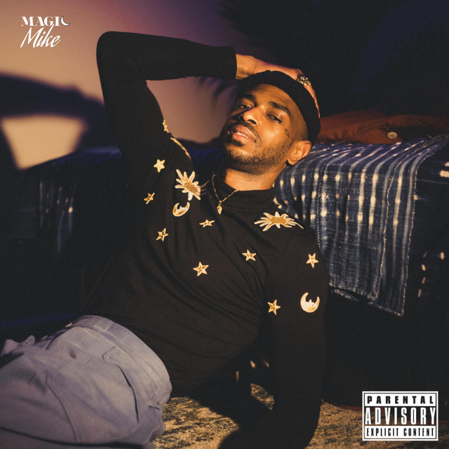 Magic Mike cover art