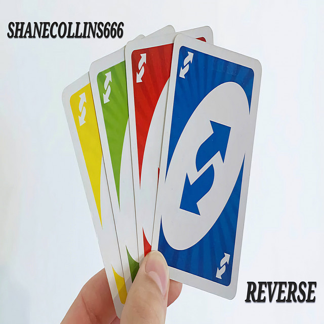Shanecollins666