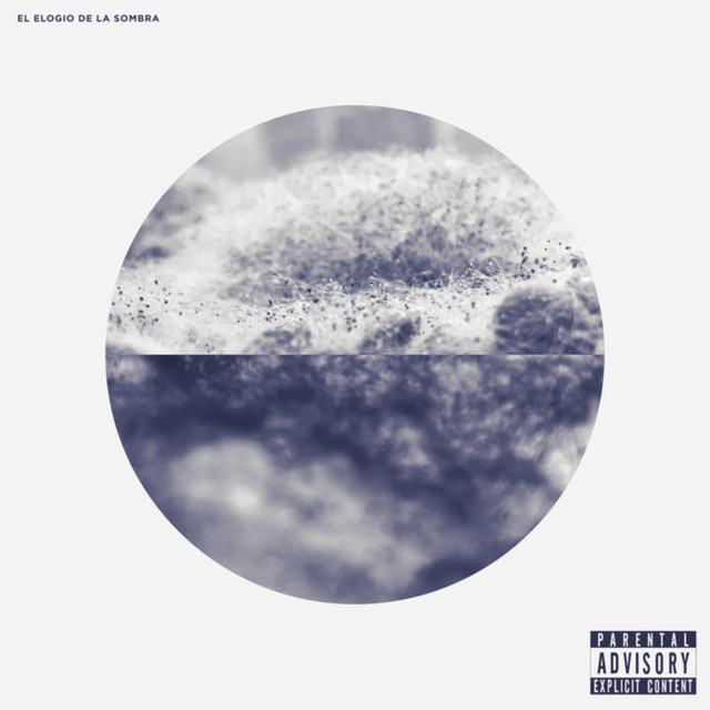 El Elogio de la Sombra cover art