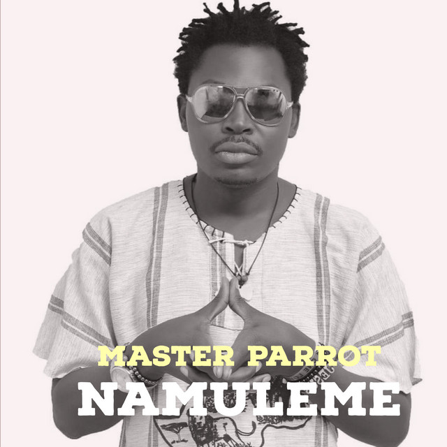 Namuleme cover art