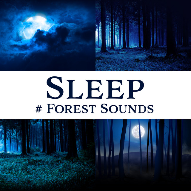 Sleep (# Forest Sounds) cover art