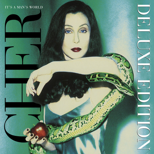 CHER/PARADISE IS HERE/JUNIOR VASQUEZ他 Paradise Is Here (Sunrise Mix) [2023 Remaster] - Single by Cher