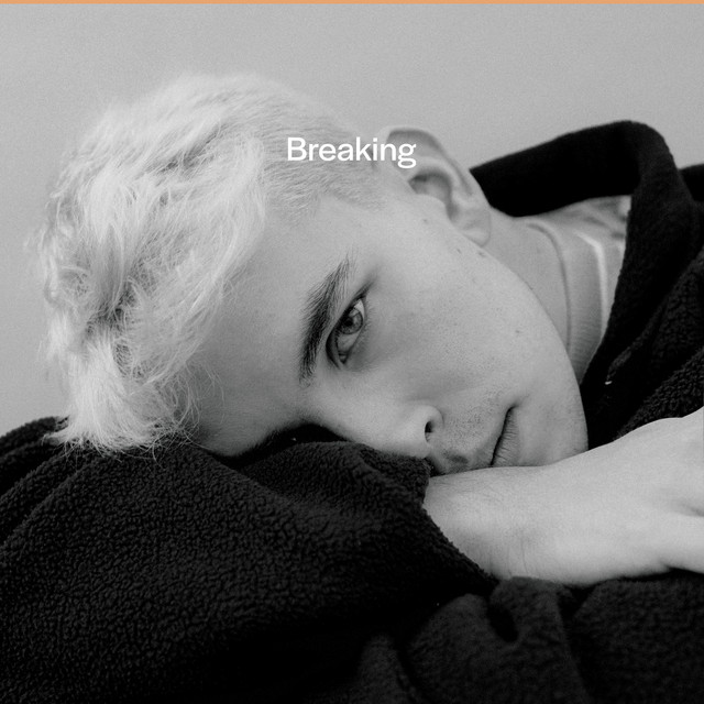 Breaking cover art