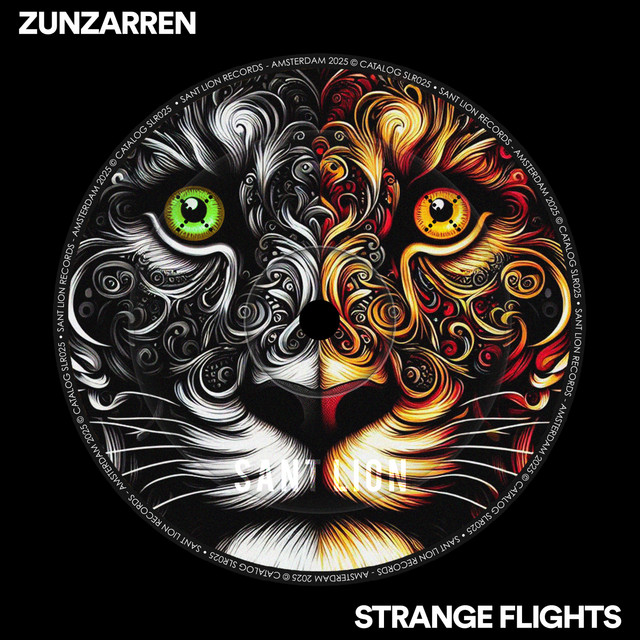 Strange Flights - Radio Edit