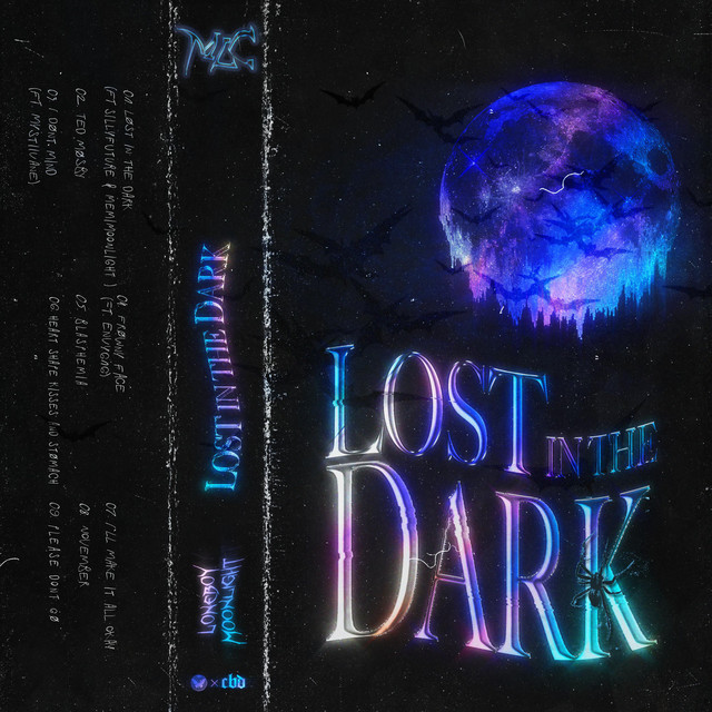 Lost In The Dark cover art