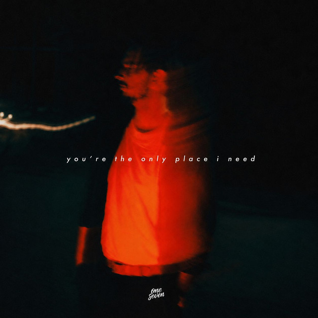 Cover du titre You're The Only Place I Need