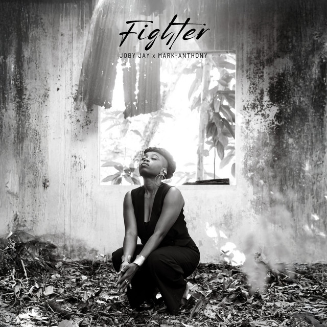 Fighter