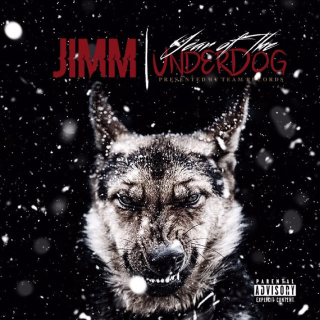 Year Of The Underdog - Album by Jimm | Spotify