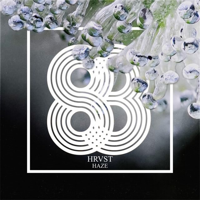 Haze album art