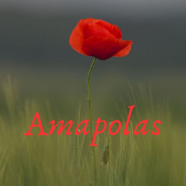 Amapolas - Cover