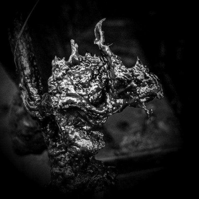 Incineration cover art