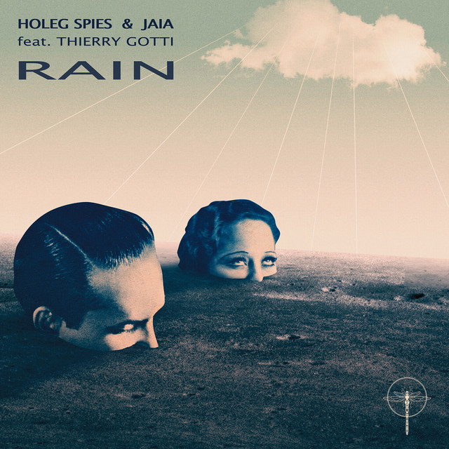 Rain cover