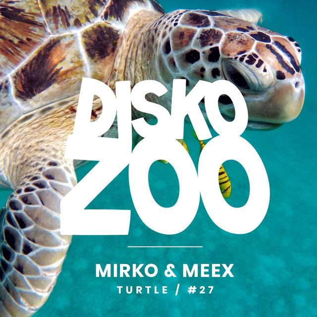 Turtle cover art