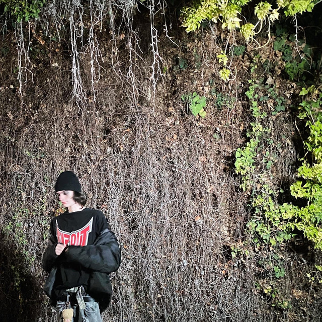 stick cover art