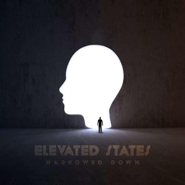 Narrowed Down cover art