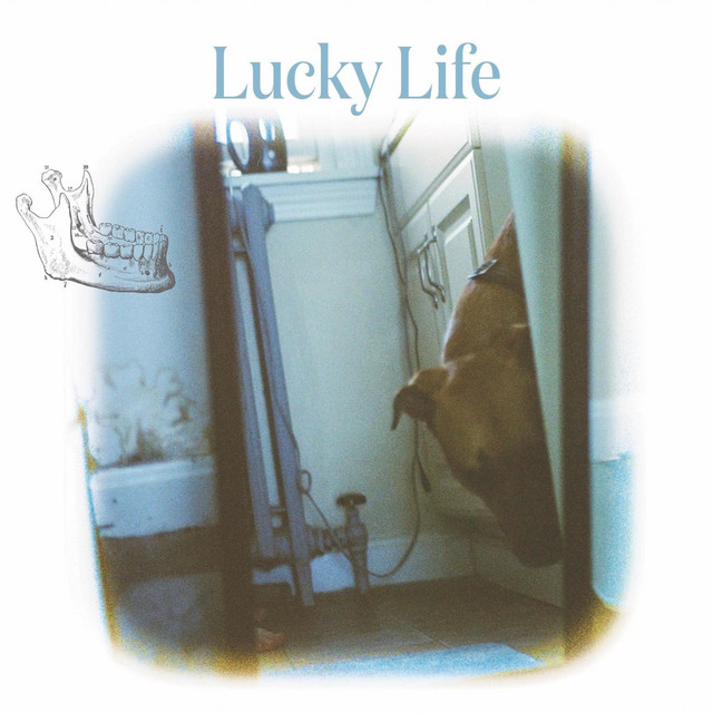 Lucky Life cover art