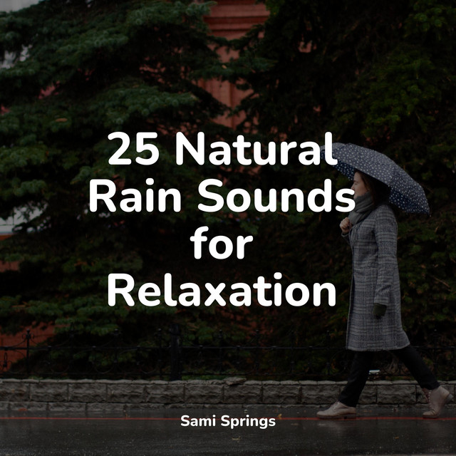 25 Natural Rain Sounds for Relaxation - Album by Soothing White Noise ...