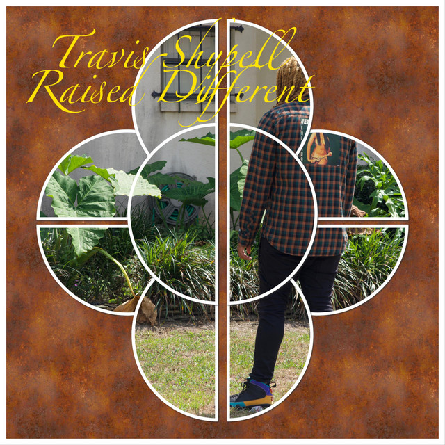 Raised Different - Single by Travis Shypell | Spotify